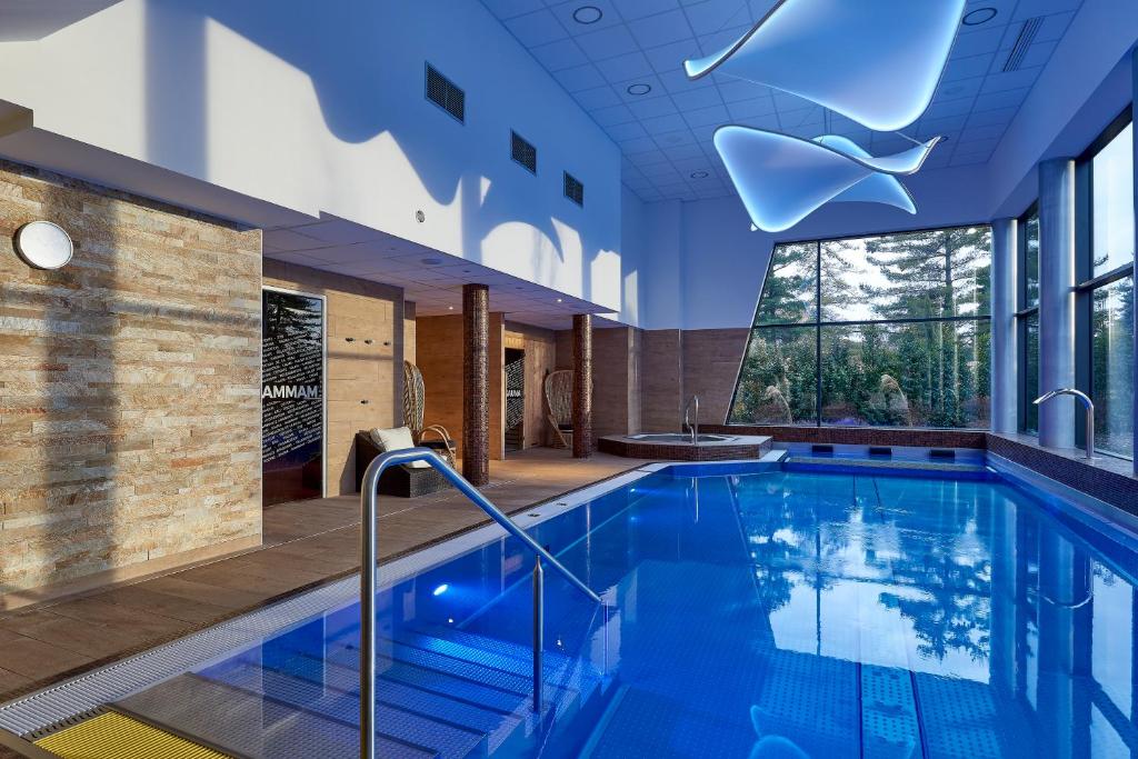 布洛泽姆Mercure Bale Mulhouse Aeroport的游泳池位于酒店带大窗户的客房
