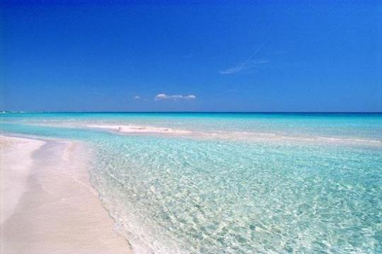 贝瓦尼亚圣彼得Resort dei Lillà Pugliaresort的一片清澈的海水和蔚蓝的天空