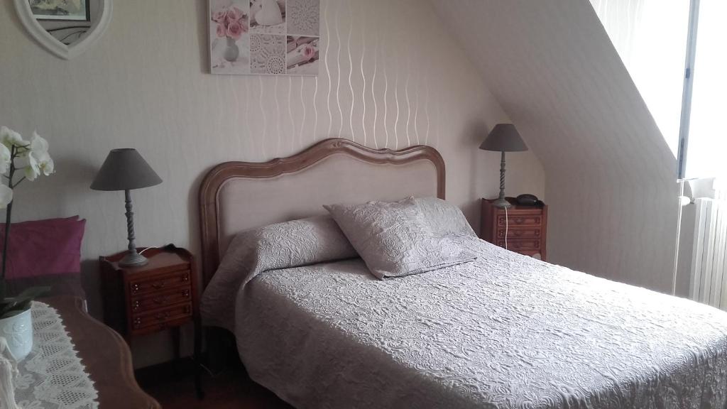 塞内泰梅泽德尚布赫酒店的一间卧室配有一张床和两个带灯的床头柜