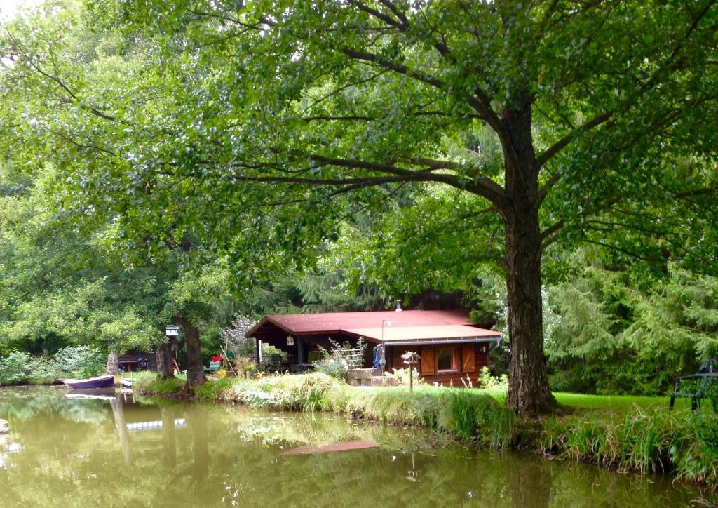 BréchaumontChalet Clarimaud的水边的小屋,有树和湖泊