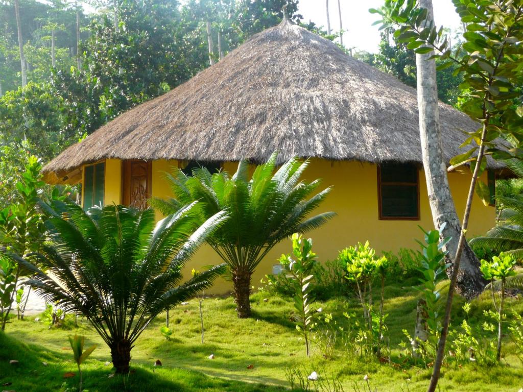 Axim安考布拉海滩度假酒店的茅草屋顶的黄色小房子