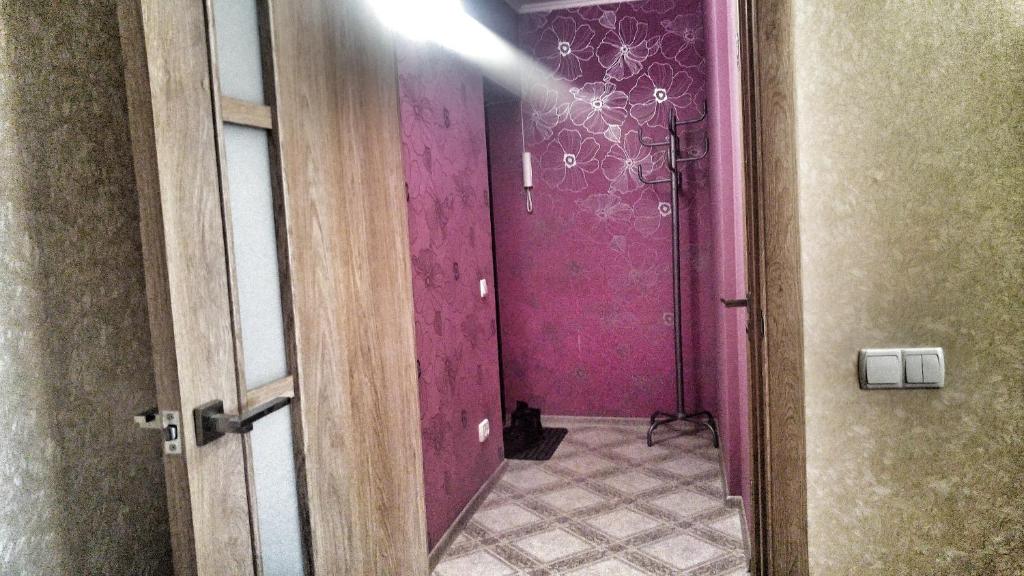 科布林Apartment on Pushkina 7的走廊上设有紫色的墙壁,一只猫坐在房间里