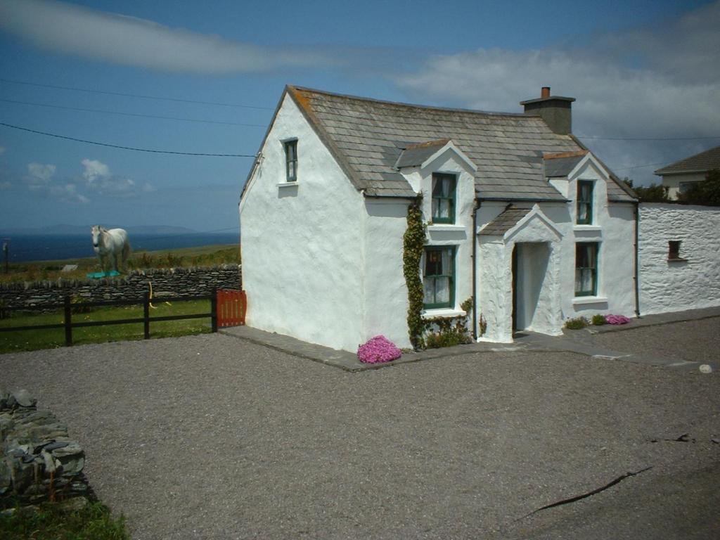 瓦伦西亚岛Cul Cottage的一座小白色房子,后面有马