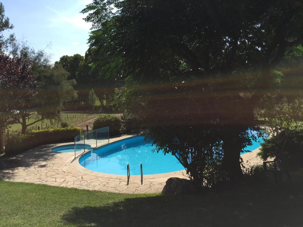 San Antonio de VilamajorHotel Can Ribalta的树旁庭院中的游泳池