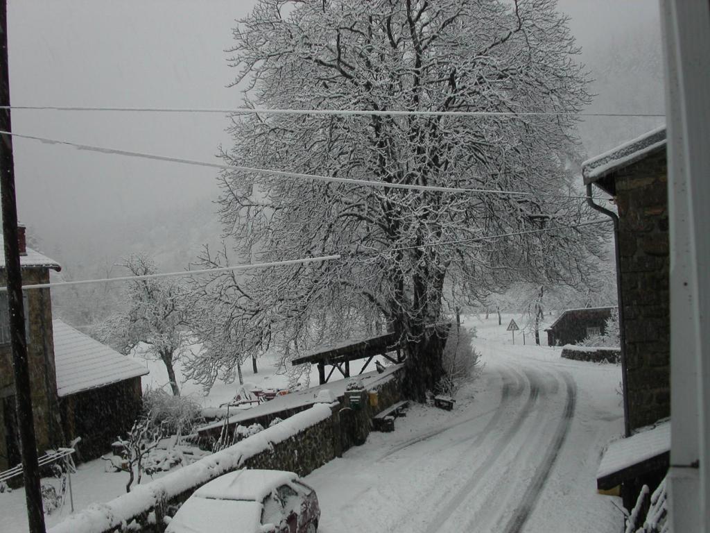 Saint-Martial迪克斯 - 奥克斯乡村民宿的一条有雪覆盖的道路,有树和房子