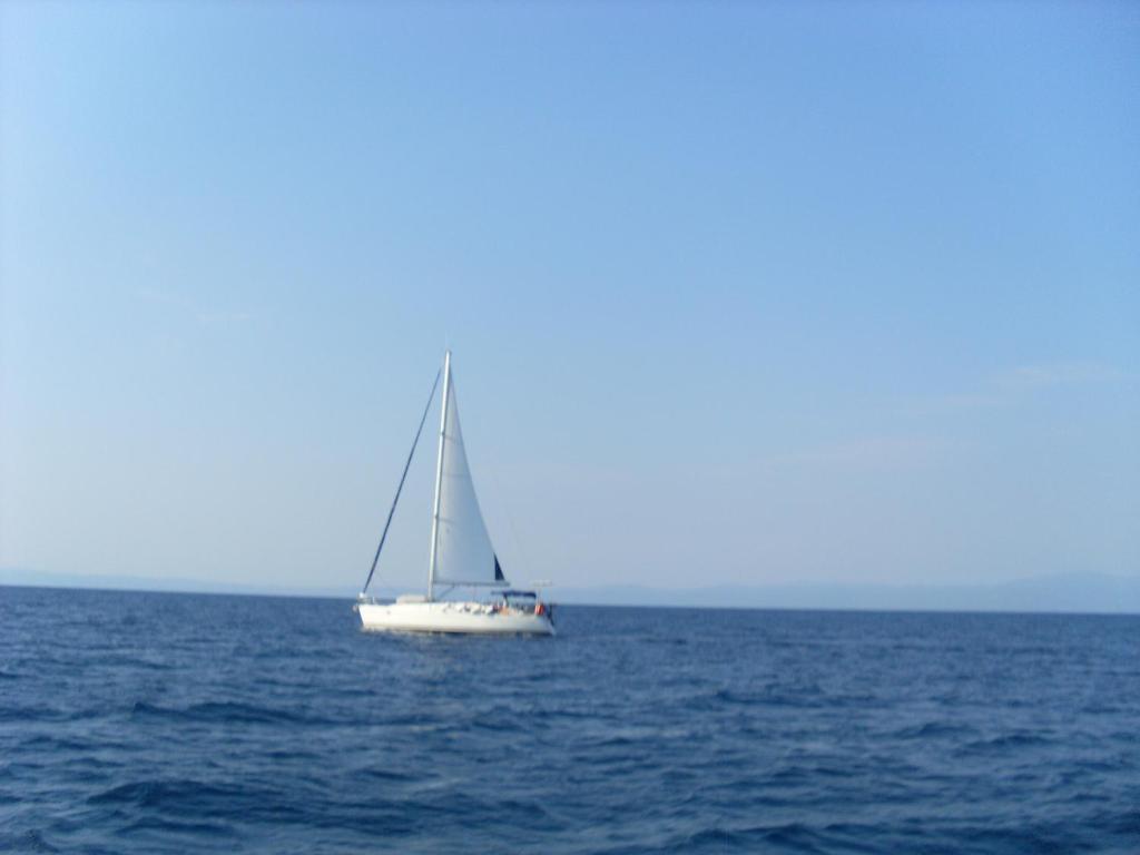 锡基亚Studio Porto Marina的一艘在海洋中游的白色帆船
