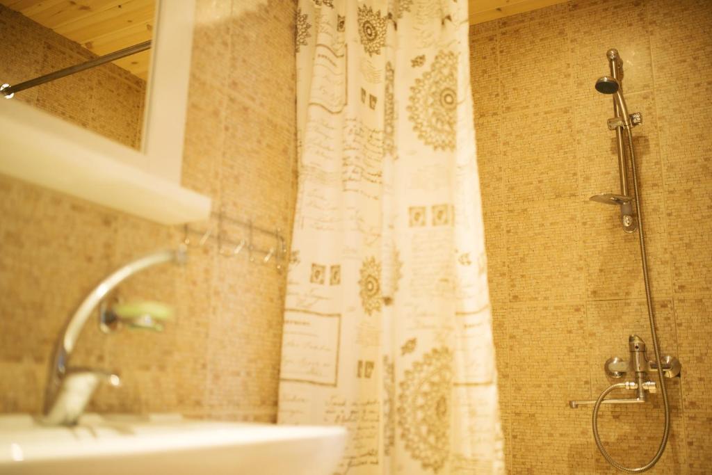阿尼克什奇艾Aitvaras的浴室配有淋浴帘和盥洗盆。