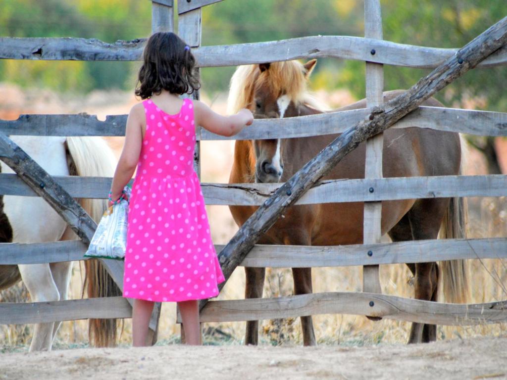 坎波斯芬卡桑萨拉乡村民宿 的一个小女孩在围栏里看着马