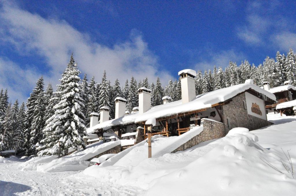 潘波洛沃科霍利特度假村的一座被雪覆盖的建筑,有雪覆盖的树木