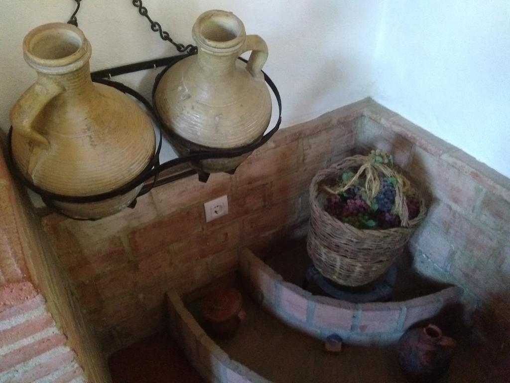 埃尔博斯克El Garrotal的两瓶花被挂在墙上,上面有篮子