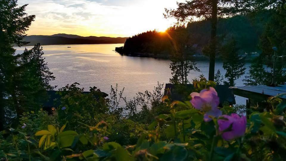 科达伦贝内特湾旅馆的日落湖景与鲜花