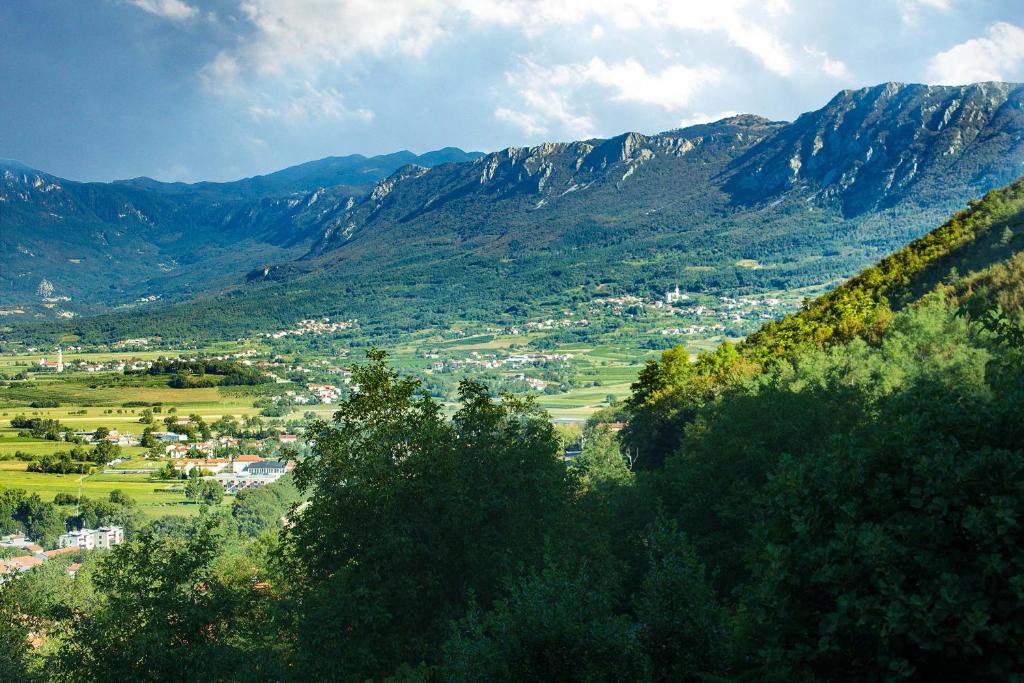 维帕瓦Farm Stay Ferjančič的享有山谷中小镇的山景