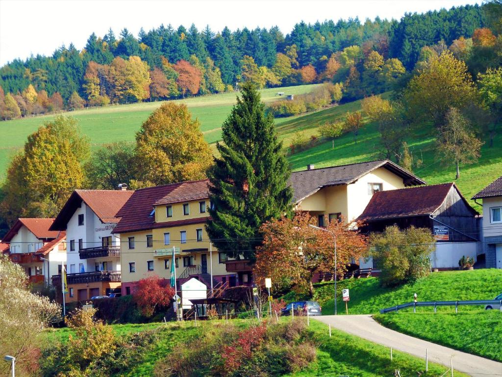 比尔弗登Hotel Gasthof Zur Krone的路边山丘上的一群房子