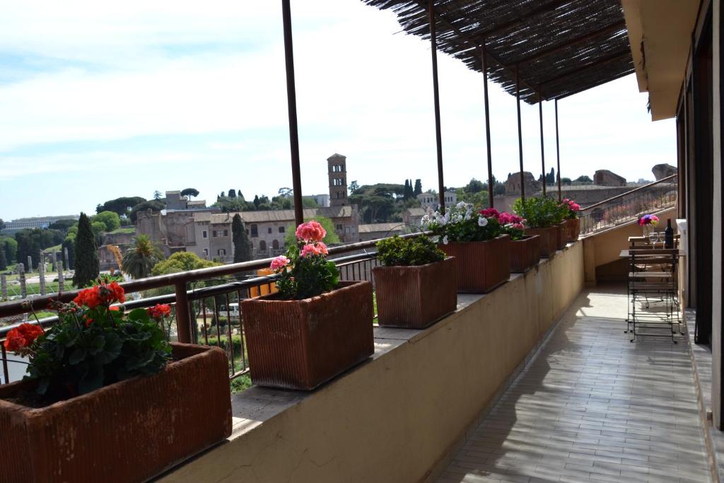 罗马斗兽场凯德罗公寓的建筑里种植了盆栽植物的阳台