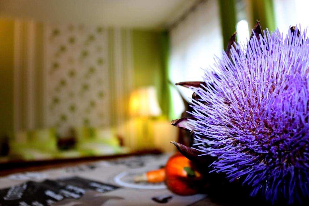 门兴格拉德巴赫门兴格拉德巴赫公寓的坐在桌子上的一个紫色花