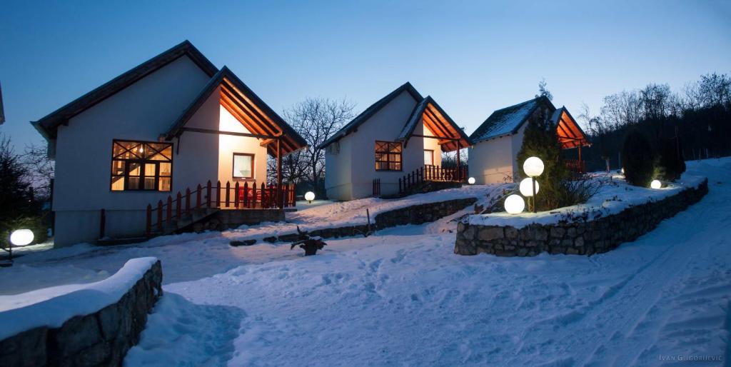 维尔蒂尼克Holiday Home Jazacka Bajka的一群晚上下雪的房子