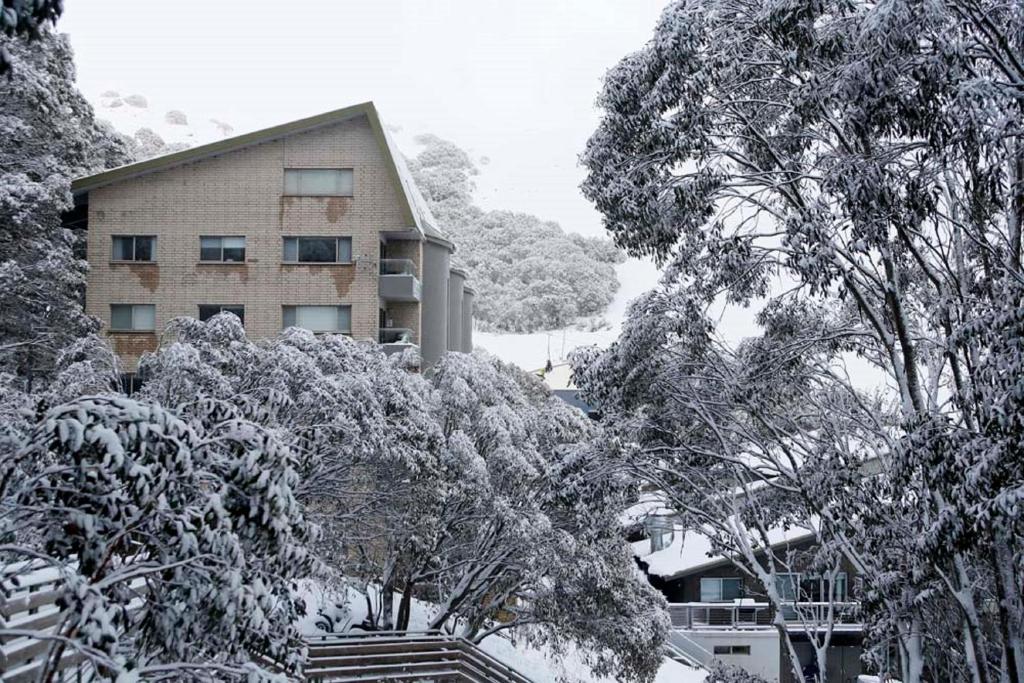 福尔斯克里克高山美景公寓的一座被雪覆盖的建筑,在树前