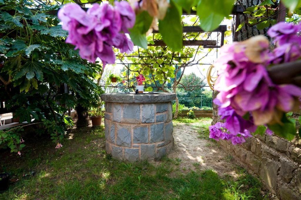 波尔托罗波尔托罗公寓的花朵紫色的花园里的石头桶