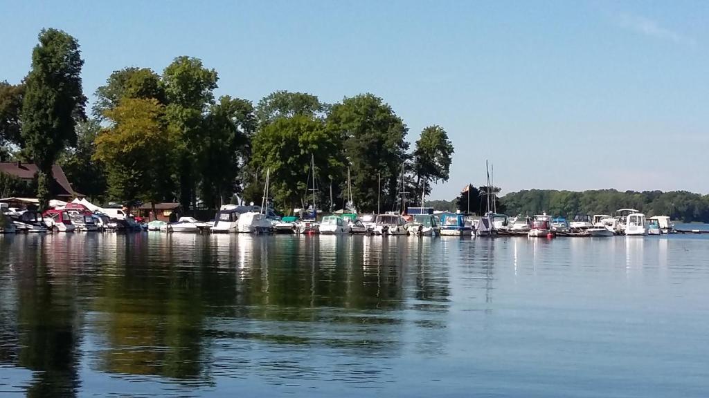 什未林Ferienwohnung am Schweriner See的一群船停靠在湖中
