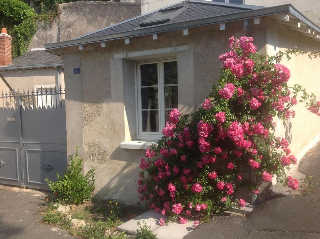 NazellesMaîson Vigneronne的一座房子前面的粉红色花丛