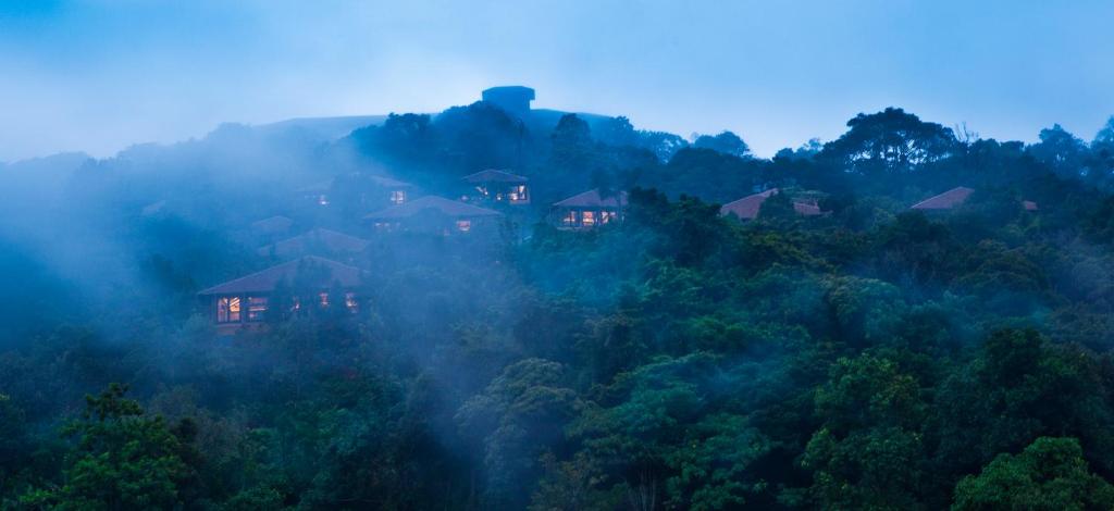 马迪凯里Taj Madikeri Resort & Spa Coorg的森林中间的山丘上的房子