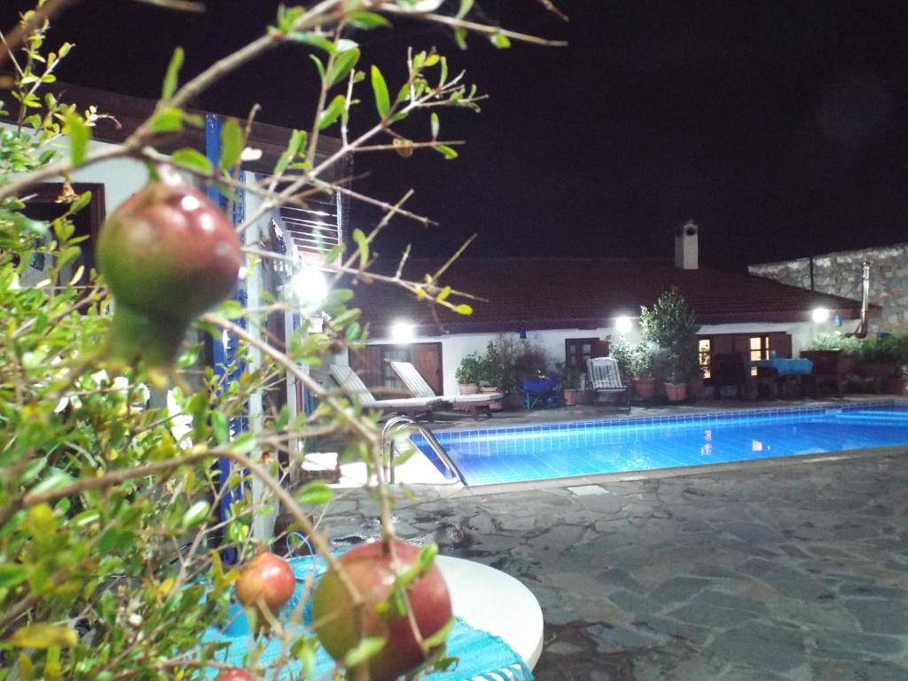 EphtagoniaThe Pomegranate's House的一座晚上设有游泳池的房子
