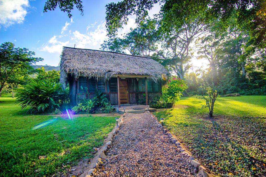 霍普金斯博卡维纳雨林度假村的一座带草屋顶的蓝色小房子