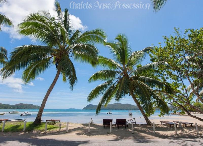 贝圣安那安斯珀塞匈木屋的两棵棕榈树和长椅,在海滩上