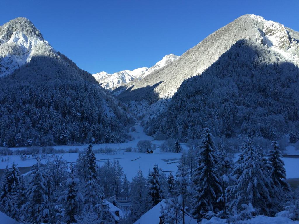 克拉尼斯卡戈拉Outstanding Lake View.的享有山脉和雪覆盖山脉的美景