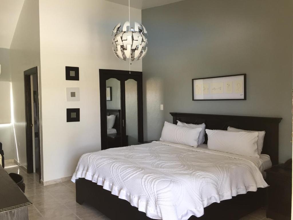 圣弗朗西斯科德马科里斯考巴斯酒店的一间卧室配有一张带吊灯的大床