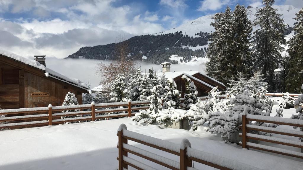 韦尔比耶韦尔比耶梅德雷恩公寓的雪覆盖的院子,有栅栏和树木