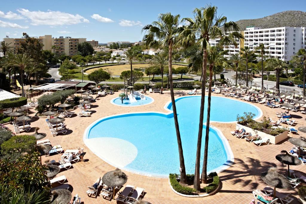 阿尔库迪亚港阿尔库迪亚港集团酒店的享有棕榈树和椅子的游泳池的顶部景致