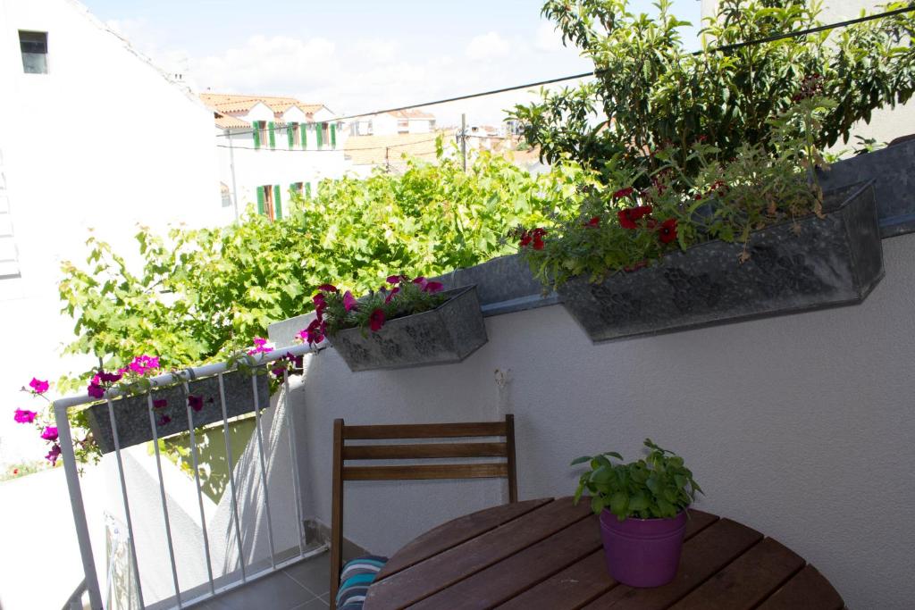 比奥格勒·纳·莫鲁Apartman Renata的阳台配有木桌和盆栽植物
