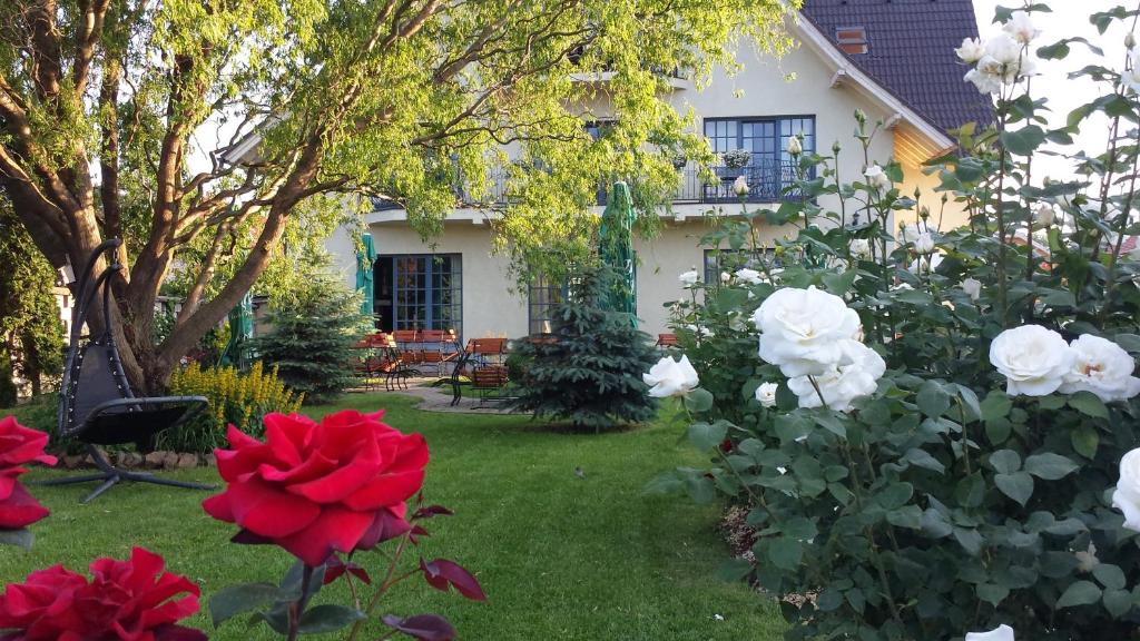 特尔古-塞奎斯Villa Westfalia Guest House的一座花园,花园内有红白色玫瑰和房子