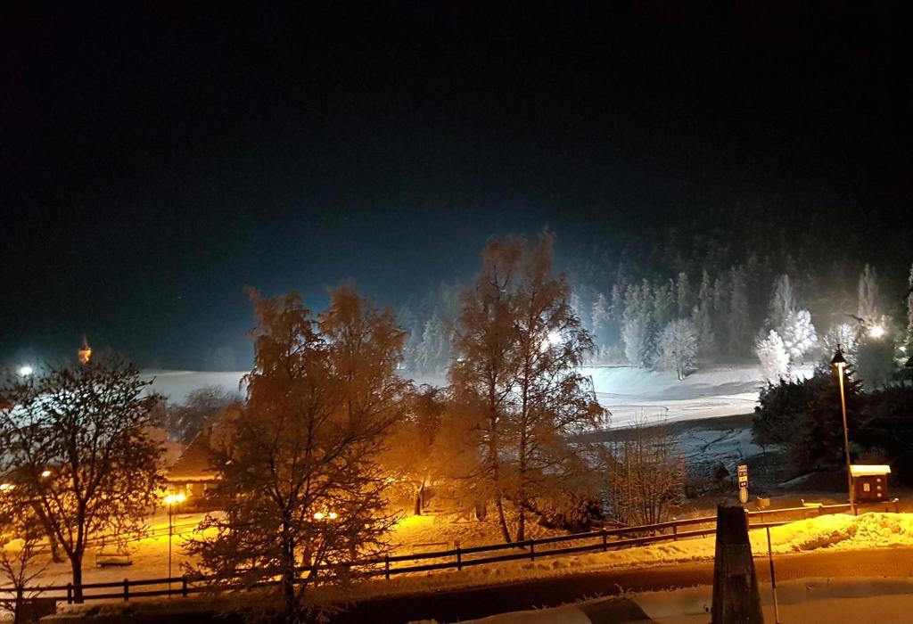 圣尼古拉斯丽景酒店 的夜晚有雪覆盖的田野,有灯光