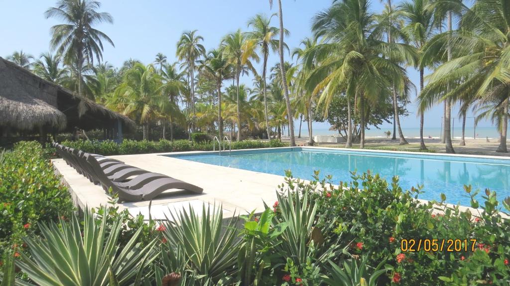 帕洛米诺Hukumeizi Hotel的棕榈树度假村的游泳池