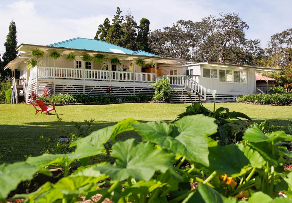 沃尔卡诺Aloha Junction Guest House - 5 min from Hawaii Volcanoes National Park的一座大型白色房子,设有大院子