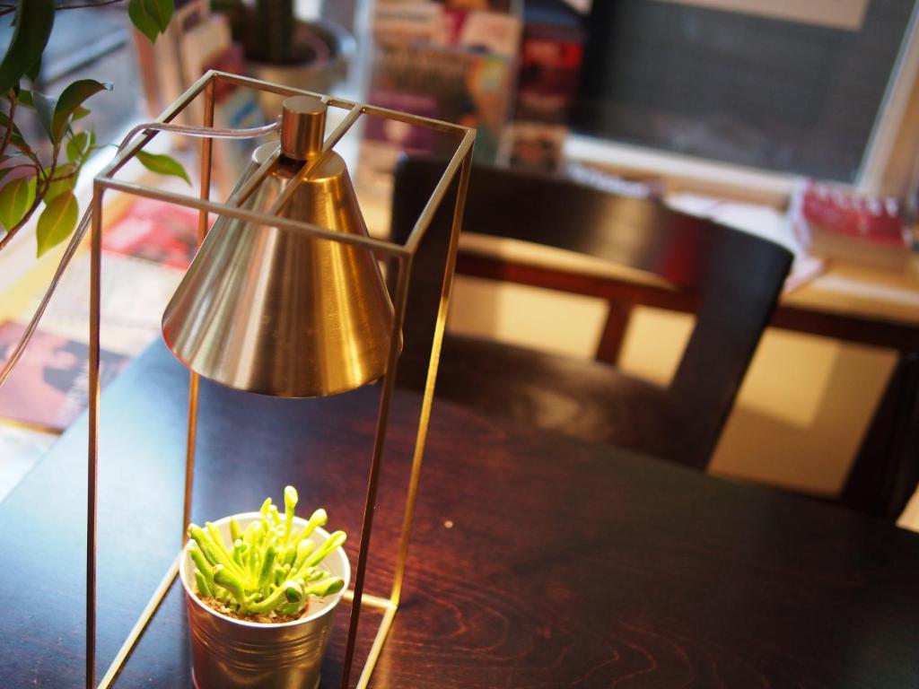 哈莱姆钟楼酒店的一张桌子上放着一盏灯和一棵盆植物