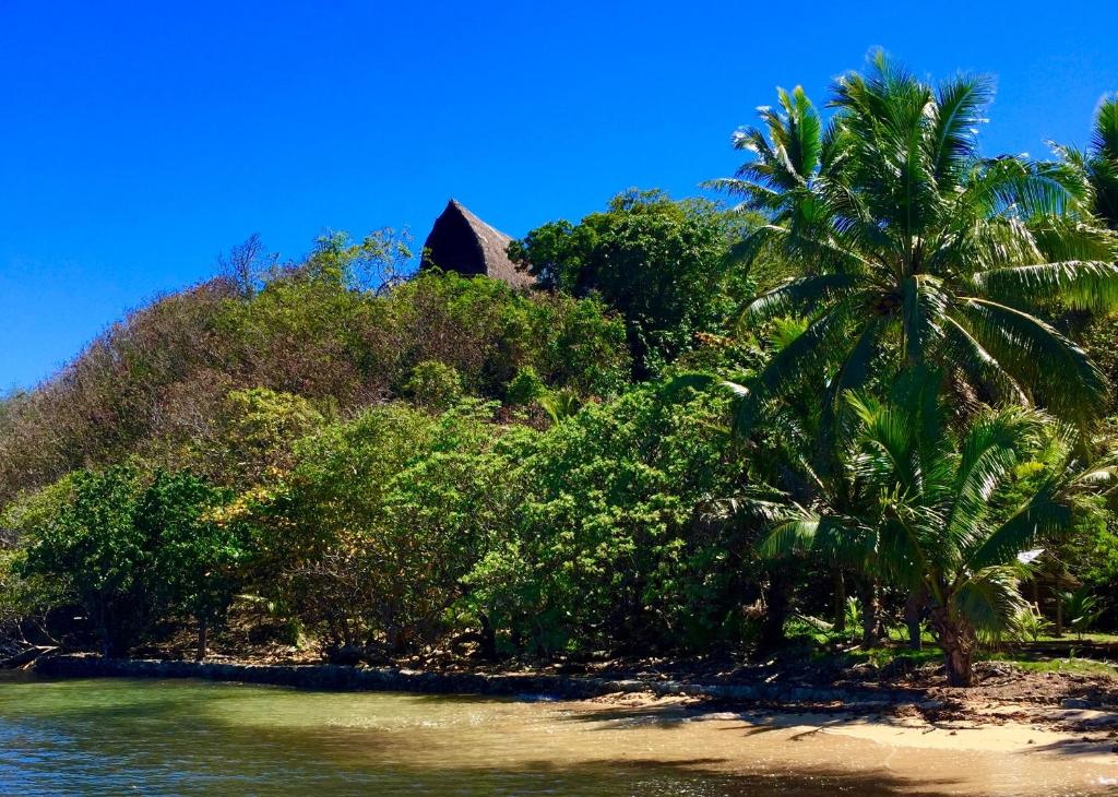 Ono Island欧内塔度假酒店的棕榈树海滩和房子的背景