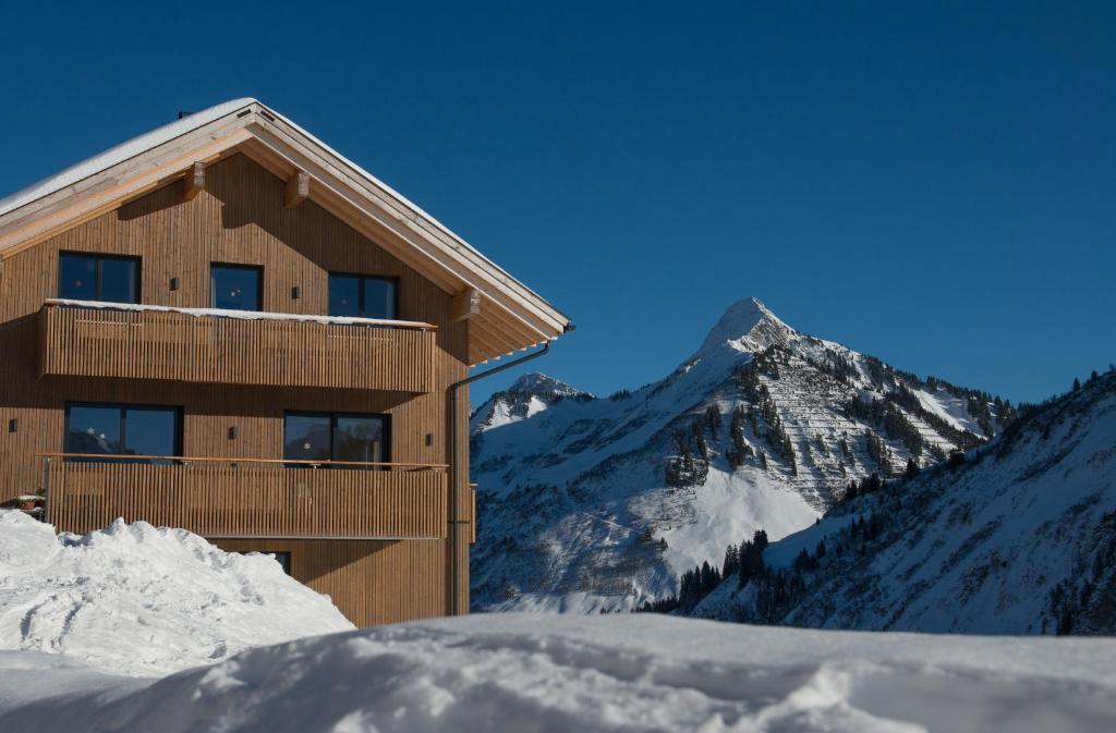 达米尔斯Appartements Berg 170的山前雪中建筑物