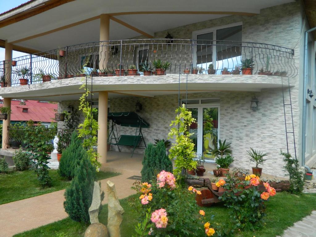 马赫穆迪亚Pensiunea Casa Cornelia Mahmudia的带阳台的别墅,种植了植物和鲜花