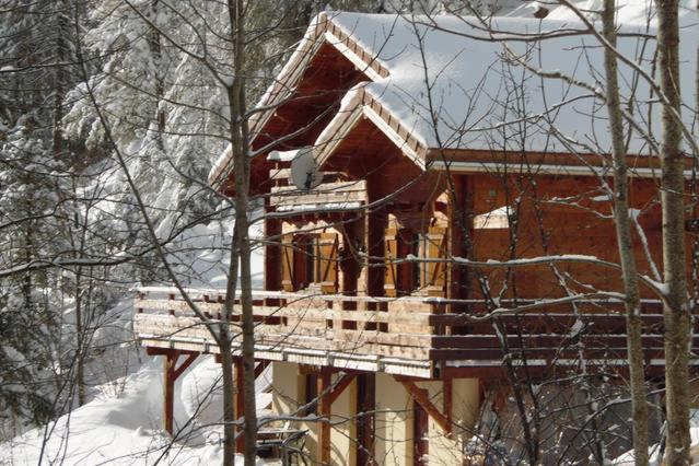 米茹Appartement Col de la Faucille的小木屋,屋顶上积雪
