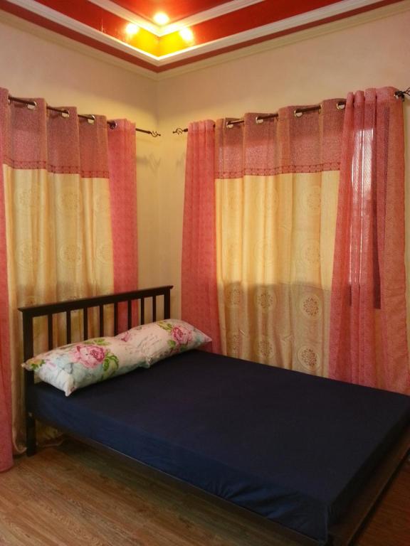 阿拉米诺斯Vhauschild Transient Rooms -B的一间卧室配有窗帘和一张带枕头的床