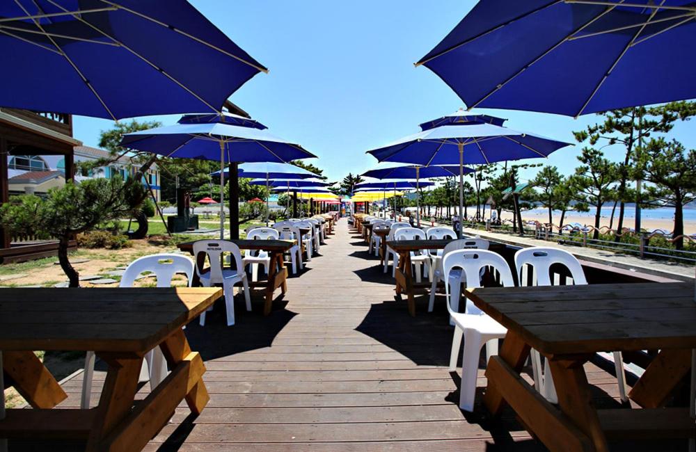 泰安马里博酒店的一排带蓝色遮阳伞的桌椅