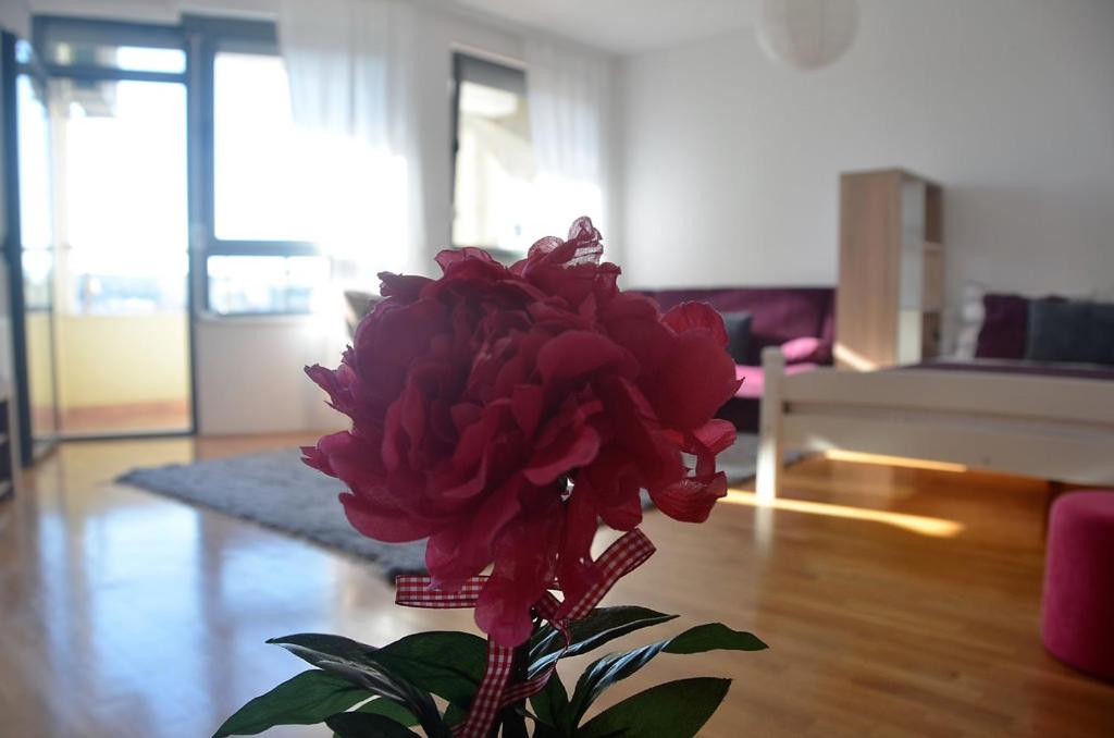 普里什蒂纳L&B Studio Apartment的客厅里装有红花的花瓶