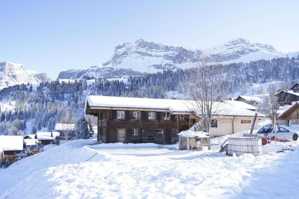 阿克斯普巴格胡斯阿克萨尔酒店的雪中小木屋,背景是群山