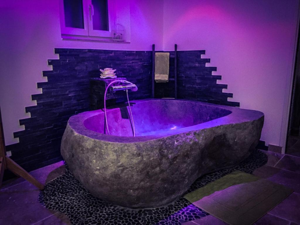 锡富尔勒普拉日Au Charme de Pépiole的紫色照明的房间内的大石头浴缸