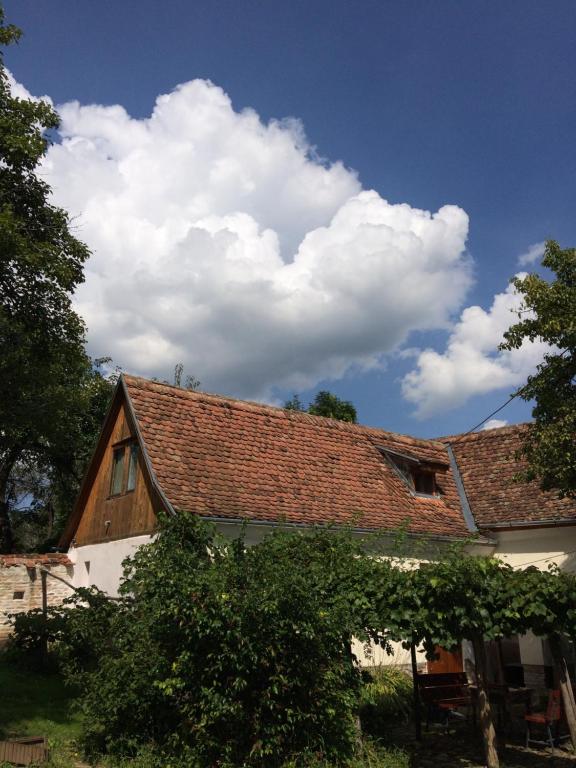 CloaşterfDominic Boutique - Casa Mare的天上云彩的屋顶房子