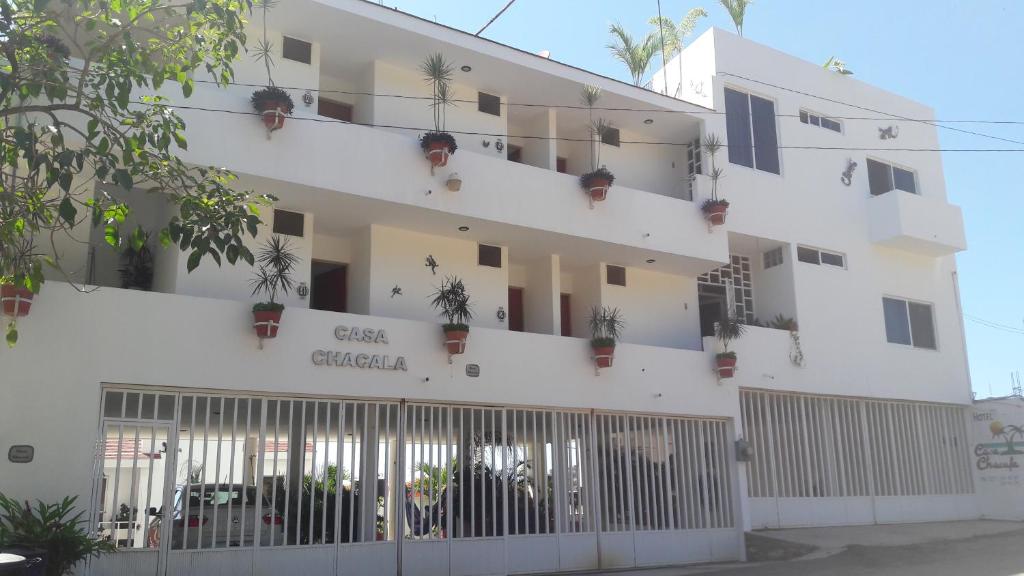 恰卡拉卡萨查卡拉酒店的白色的建筑,上面有盆栽植物