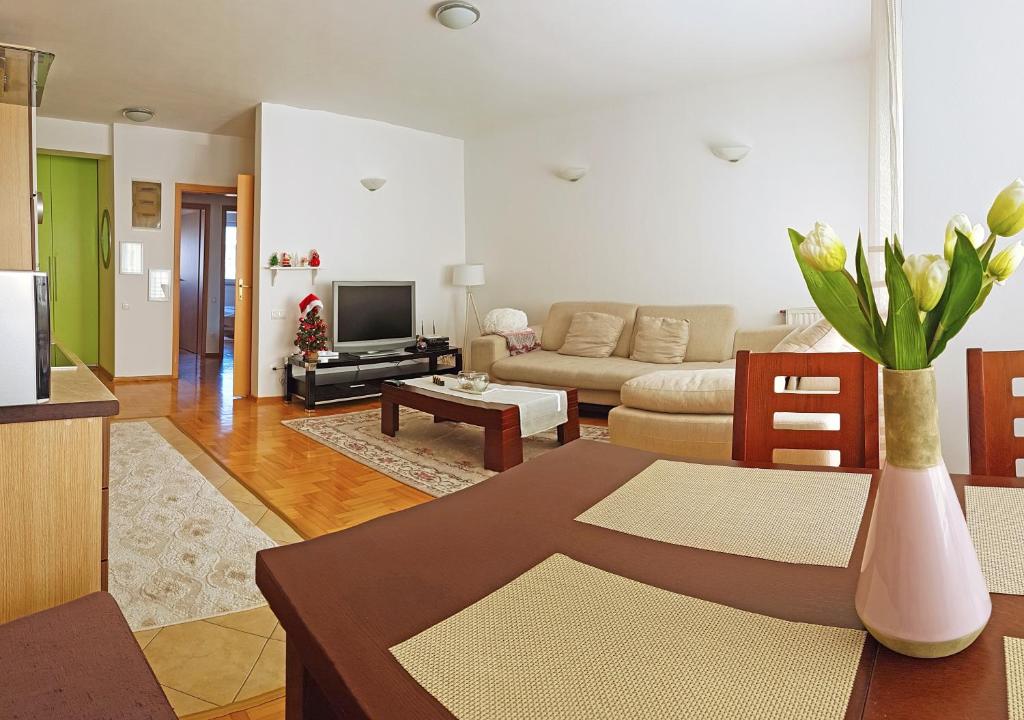 普里什蒂纳Apartment 13的带沙发和电视的客厅